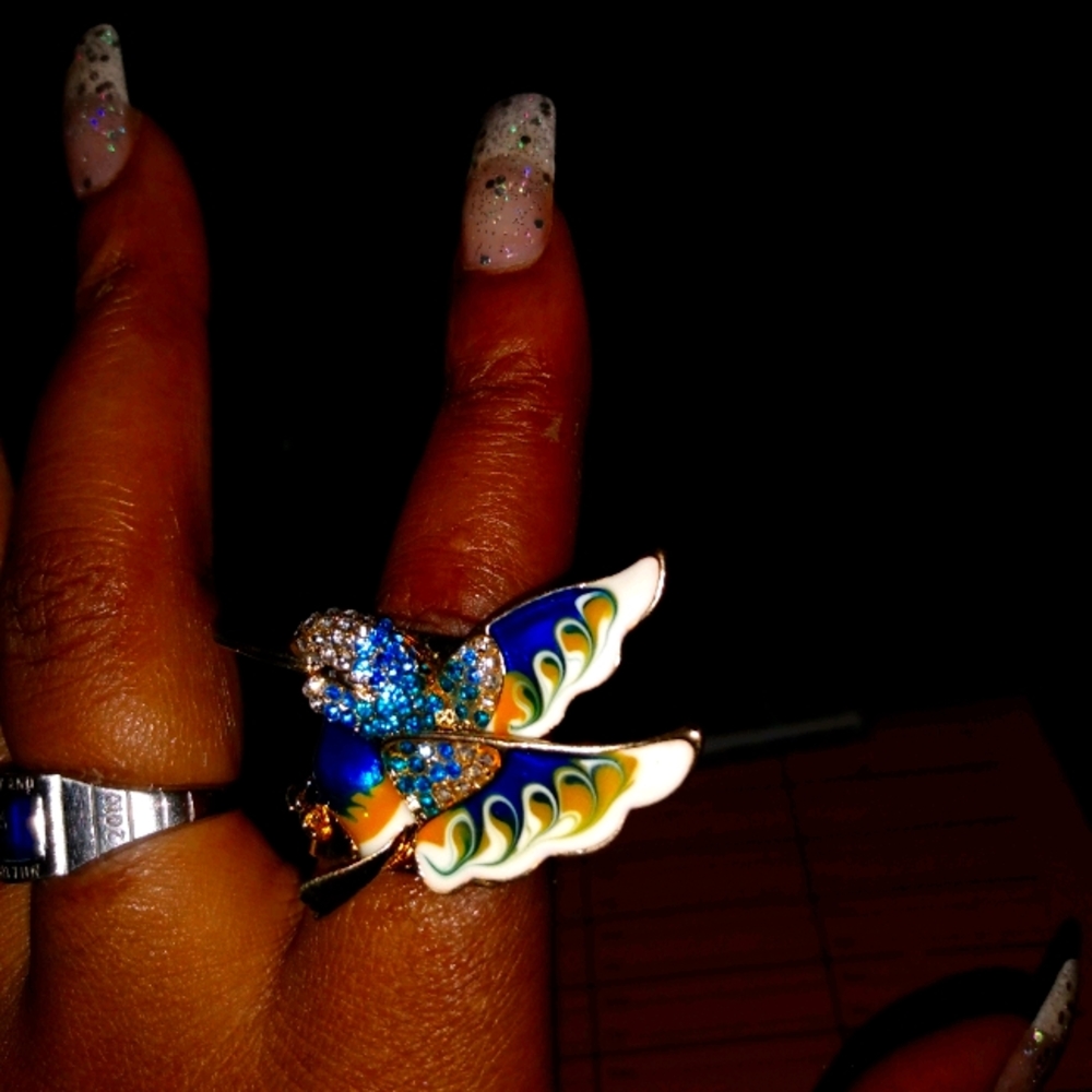 Hummingbird